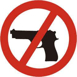 TSA No Gun Symbol
